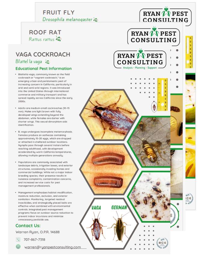 new-pest-tip-sheets-featured